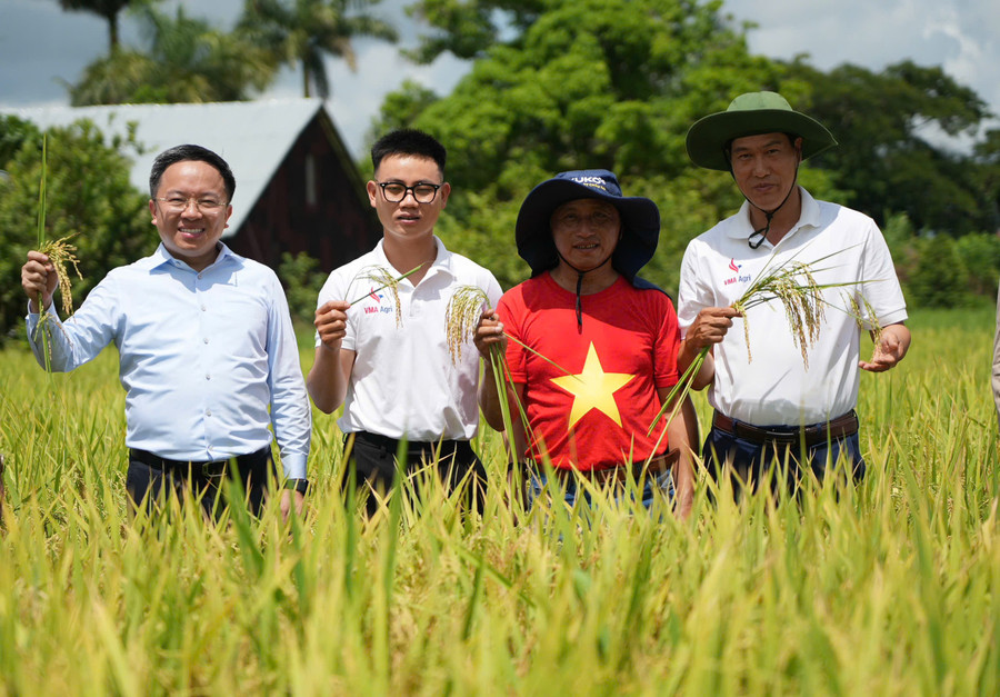 hat-giong-hanh-phuc-5.jpg