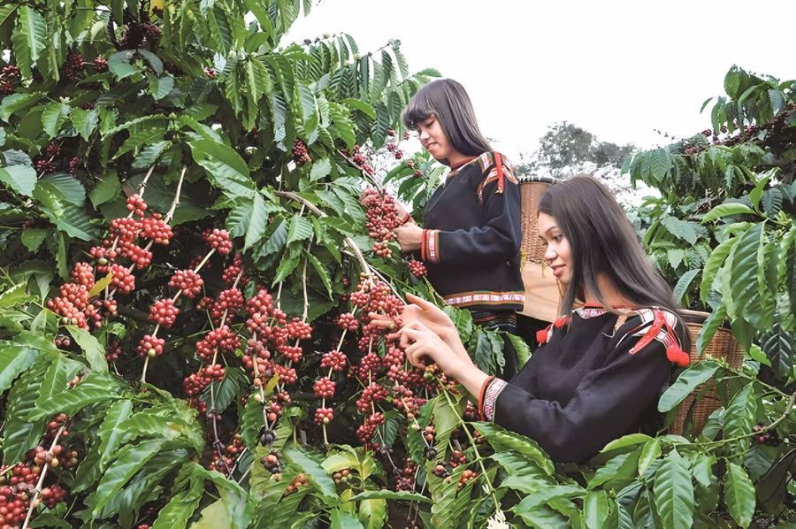 Trường hợp tỉnh, thành phố nào không tham gia xây dựng hồ sơ cần có văn bản chính thức thông báo đến Bộ VHTT&DL. Ảnh minh hoạ ITN.