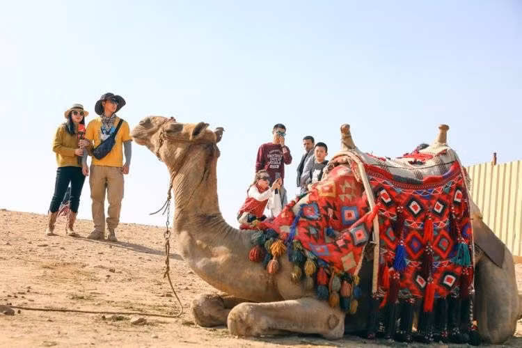 Tổng đài bảo hộ công dân của Cục Lãnh sự, Bộ Ngoại giao: +84981848484 hoặc +8496541118 - Ảnh minh hoạ ITN.