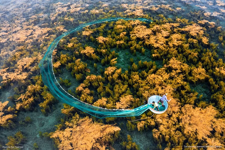 tran tuan viet 6.jpg