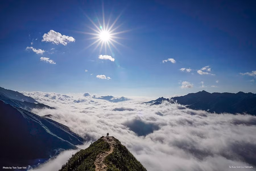 tran tuan viet 2.jpg