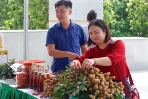 Hưng Yên hiện có 606 sản phẩm được công nhận là sản phẩm OCOP.