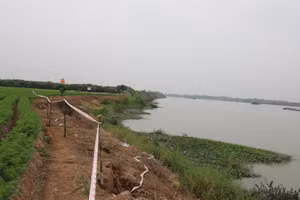 Vị trí sạt lở kè Nguyên Hòa, đê tả sông Luộc. Ảnh báo Hưng Yên.