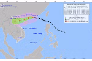 Theo nhận định của cơ quan khí tượng, Hưng Yên nằm trong khu vực chịu ảnh hưởng trực tiếp của bão.