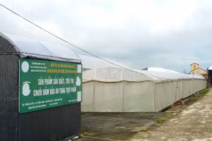 Hưng Yên hiện có 759 hợp tác xã, 960 tổ hợp tác nông nghiệp và 2 liên hiệp hợp tác xã nông nghiệp.