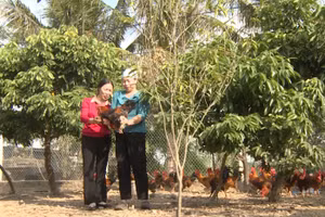 Nhiều mô hình sản xuất kinh doanh, chăn nuôi, trồng trọt… được hình thành và nhân rộng giúp phụ nữ vươn lên làm giàu.