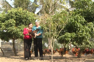 Nhiều mô hình sản xuất kinh doanh, chăn nuôi, trồng trọt… được hình thành và nhân rộng giúp phụ nữ vươn lên làm giàu.