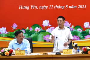 Phó Thủ tướng Hồ Đức Phớc phát biểu tại buổi làm việc.