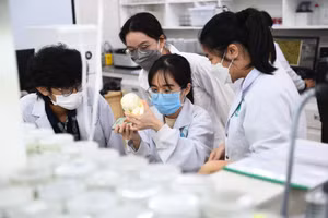 Sinh viên Trường Đại học Quốc tế (Đại học Quốc gia TPHCM). Ảnh: HCMIU.