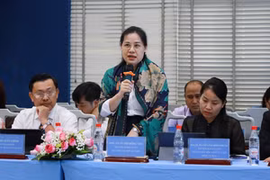 Chuyên gia góp ý tại hội thảo. Ảnh: HCMULAW