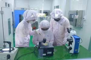 Sinh viên Trường Đại học Khoa học Sức khỏe trải nghiệm thực tế. Ảnh: UHSVNU