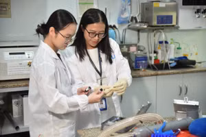 GS.TS Trần Thị Thanh Vân, Trưởng Khoa Khoa học và Công nghệ Vật liệu, Trường Đại học Khoa học tự nhiên, Đại học Quốc gia TPHCM (phải). Ảnh: HCMUS