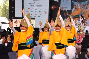 Các nghệ sĩ tại lễ khai mạc Lễ hội Việt - Nhật. (Ảnh: L.N)