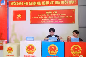 Sinh viên trải nghiệm mô phỏng quy trình bỏ phiếu tại điểm bỏ phiếu số 28 - Ký túc xá Bách khoa, phường Diên Hồng, TPHCM. Ảnh: Trường ĐHBK.