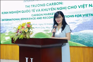 PGS.TS Nguyễn Hoàng Anh – Phó Hiệu trưởng trường Đại học Luật, Đại học quốc gia Hà Nội phát biểu tại hội thảo. Ảnh: NTCC