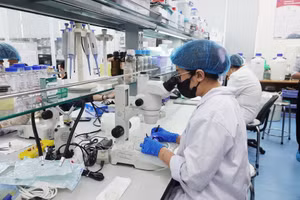 Hoạt động nghiên cứu khoa học tại Trường Đại học Quốc tế (Đại học Quốc gia TPHCM). Ảnh: HCMIU