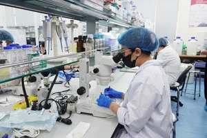 Hoạt động nghiên cứu khoa học tại Trường Đại học Quốc tế (Đại học Quốc gia TPHCM). Ảnh: HCMIU
