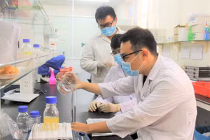 Hoạt động nghiên cứu khoa học tại Đại học Quốc gia TPHCM. Ảnh: IU