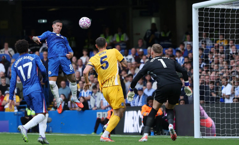 chelsea-7.jpg