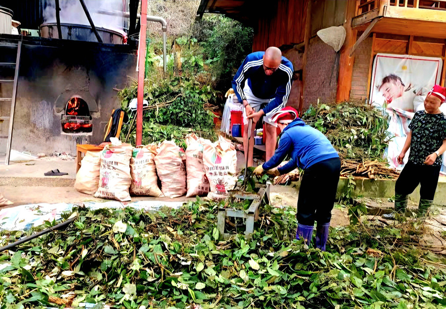 Các xã viên dùng máy băm nhỏ nguyên liệu trước khi nấu thành sản phẩm nước tắm Mẩy Đia dạng cao lỏng. ta-phin-2.jpg