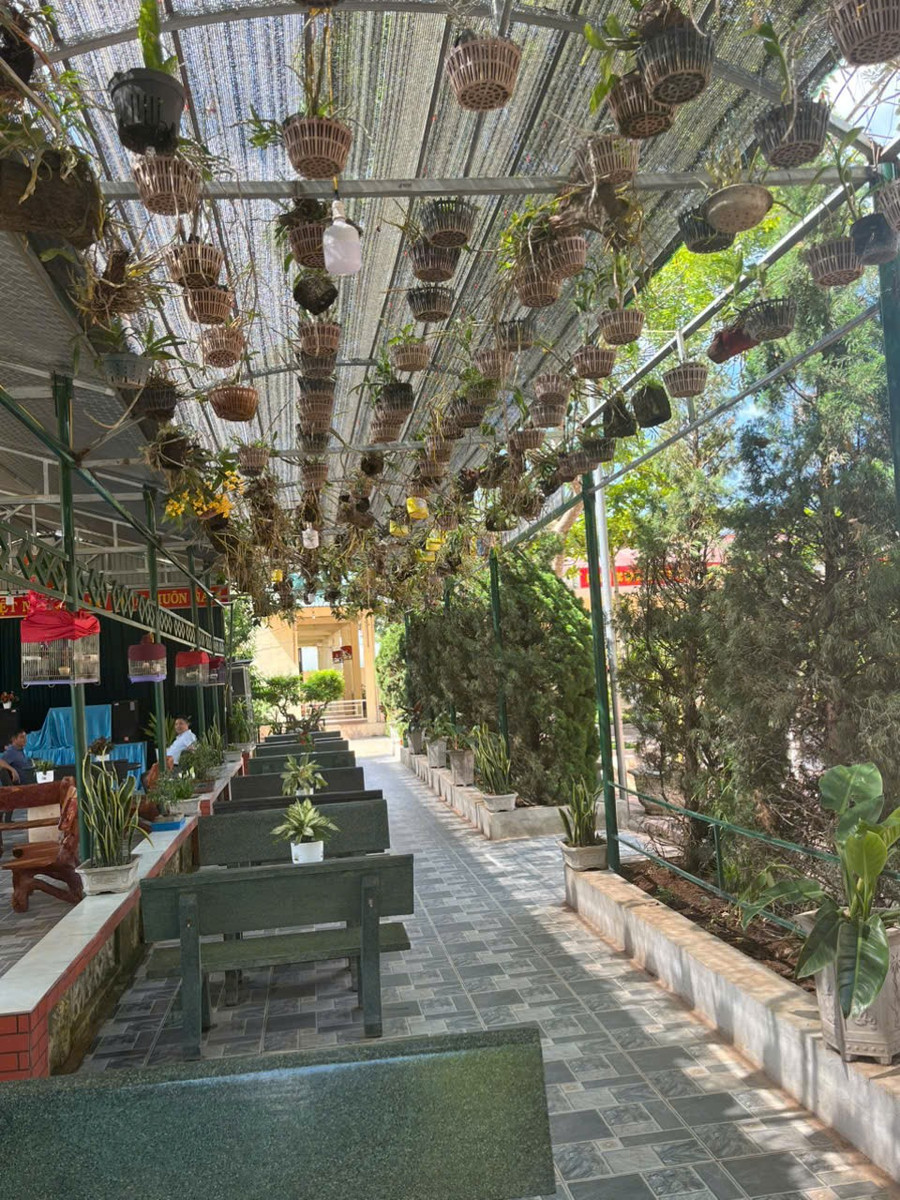 Không gian được thầy trò nhà trường tạo dựng. thu-vien-xanh-2.jpg