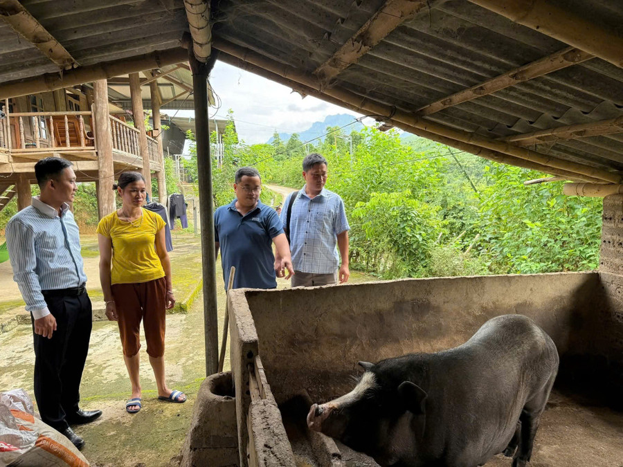 Đoàn công tác xã Nậm Nèn thăm, kiểm tra mô hình chuồng trại của nhân dân.