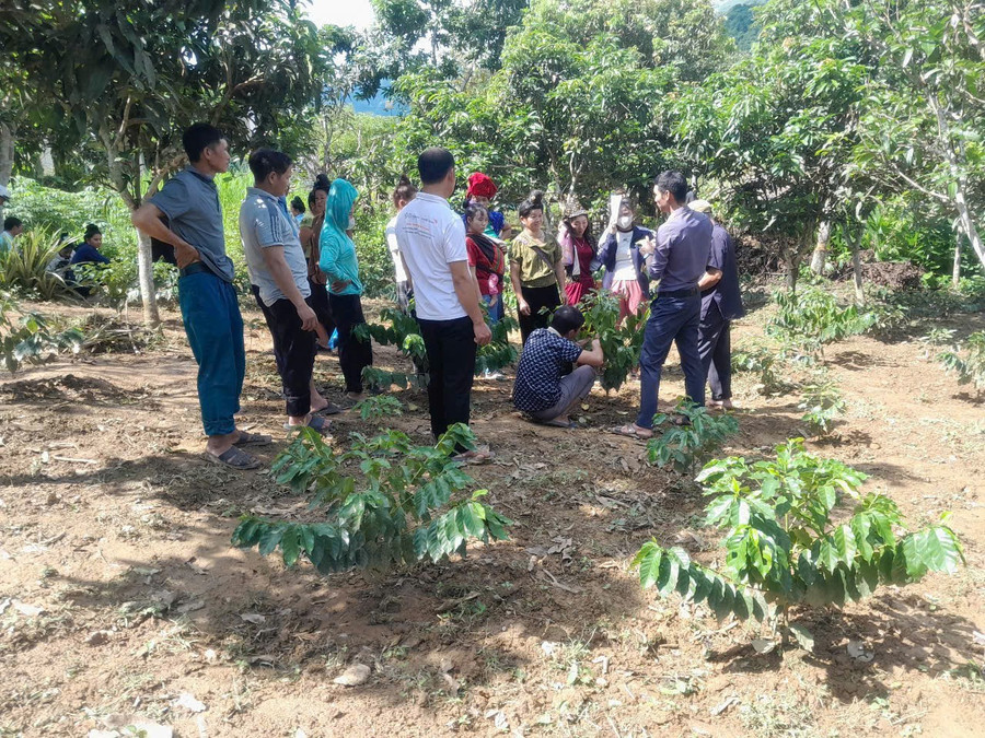 Giáo dục nghề nghiệp được tổ chức theo hướng sát với nhu cầu của người dân.