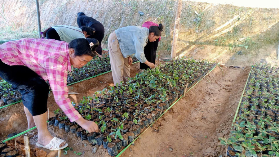 Học viên thực hành làm bầu đất ươm cây giống.