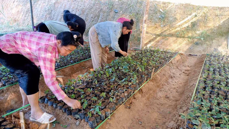 Học viên thực hành làm bầu đất ươm cây giống.