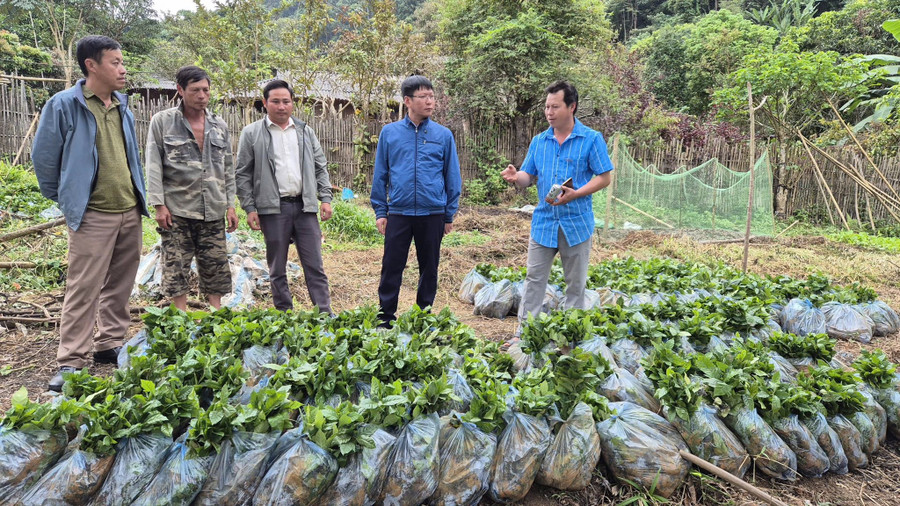 Xã Tìa Dình luôn quan tâm ưu tiên nguồn vốn đầu tư từ các chương trình, dự án, tạo sinh kế cho người dân.