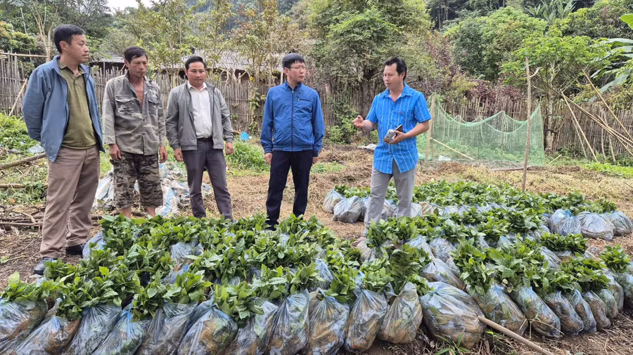 Xã Tìa Dình luôn quan tâm ưu tiên nguồn vốn đầu tư từ các chương trình, dự án, tạo sinh kế cho người dân.