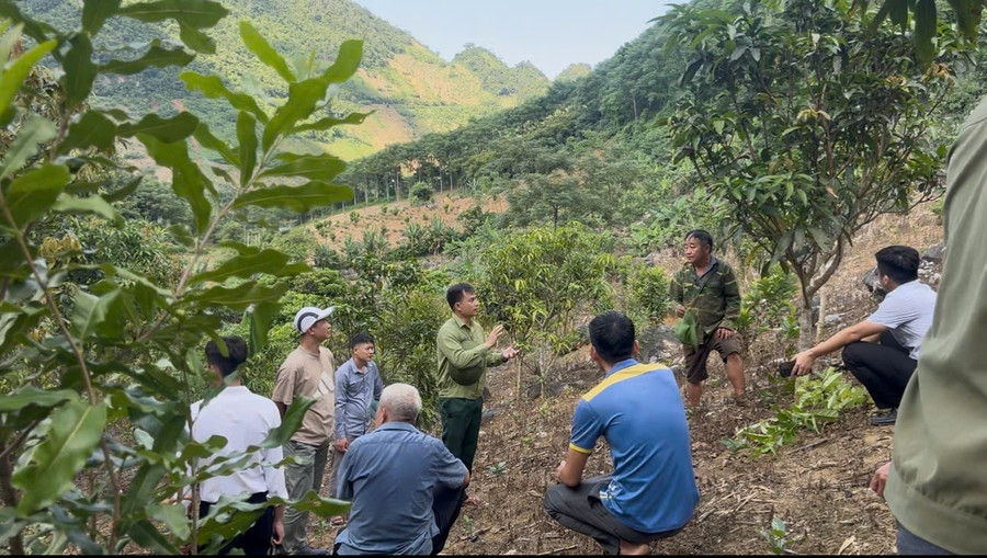 Ông Nguyễn Văn Bách - Chủ tịch UBND xã Pú Nhung (đứng giữa) tuyên truyền cho nhân dân tại thực địa.