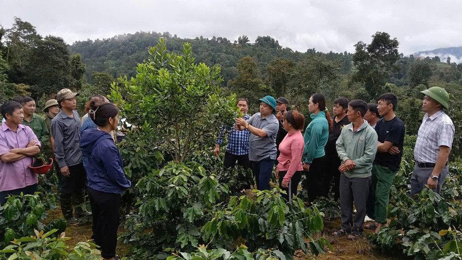 Nhờ triển khai đồng bộ các phần việc thuộc Chương trình MTQG, tỷ lệ hộ nghèo đa chiều của Quài Tở giảm bình quân 4,53% mỗi năm.