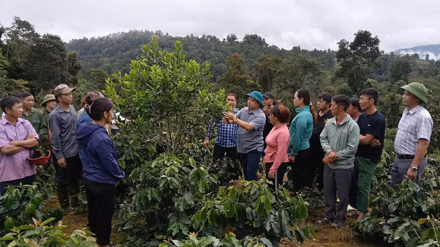 Nhờ triển khai đồng bộ các phần việc thuộc Chương trình MTQG, tỷ lệ hộ nghèo đa chiều của Quài Tở giảm bình quân 4,53% mỗi năm.