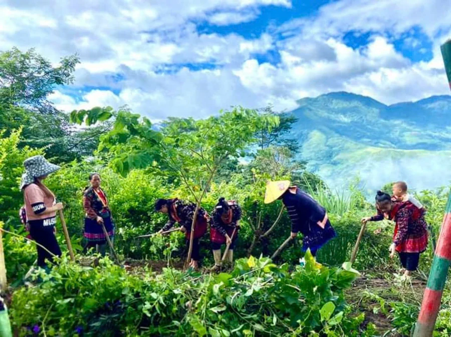 Giáo viên cùng phụ huynh tu sửa cơ sở vật chất.