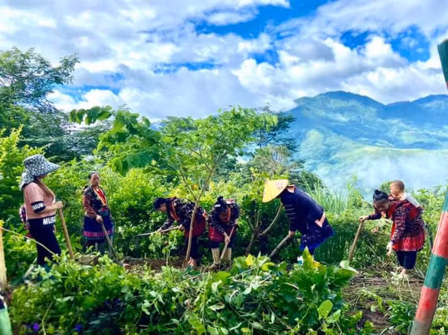 Giáo viên cùng phụ huynh tu sửa cơ sở vật chất.