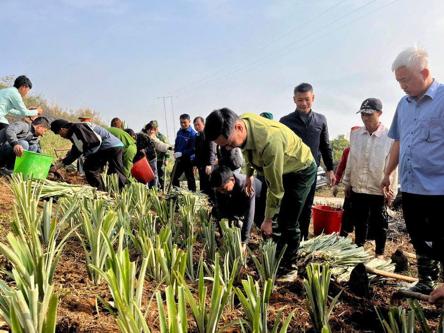 Cán bộ, đảng viên và nhân dân xã Mường Pồn tham gia Lễ phát động triển khai trồng dứa thực hiện các dự án hỗ trợ phát triển sản xuất thuộc Chương trình mục tiêu quốc gia năm 2025 trên địa bàn xã.