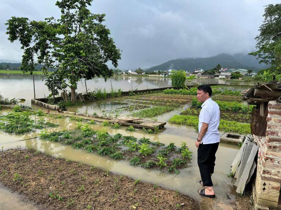 Ông Phạm Thiết Chùy - Chủ tịch UBND xã Sam Mứn đi kiểm tra, chỉ đạo nhân dân chống ngập.