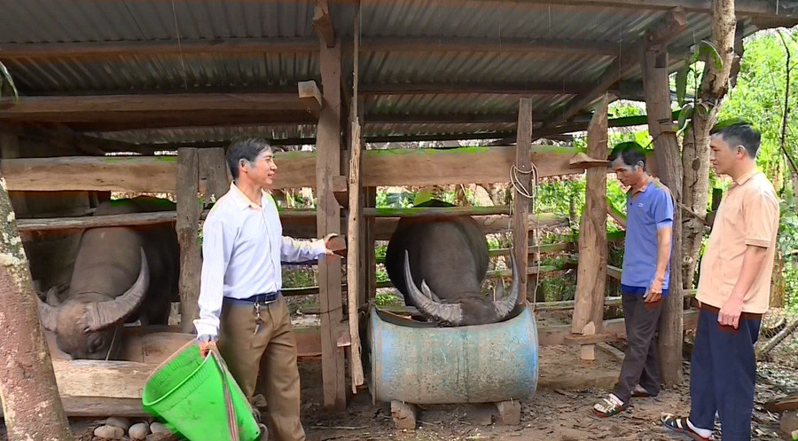 Ông Sùng Vảng Say (bên trái) là tấm gương điển hình trong phát triển kinh tế gia đình.