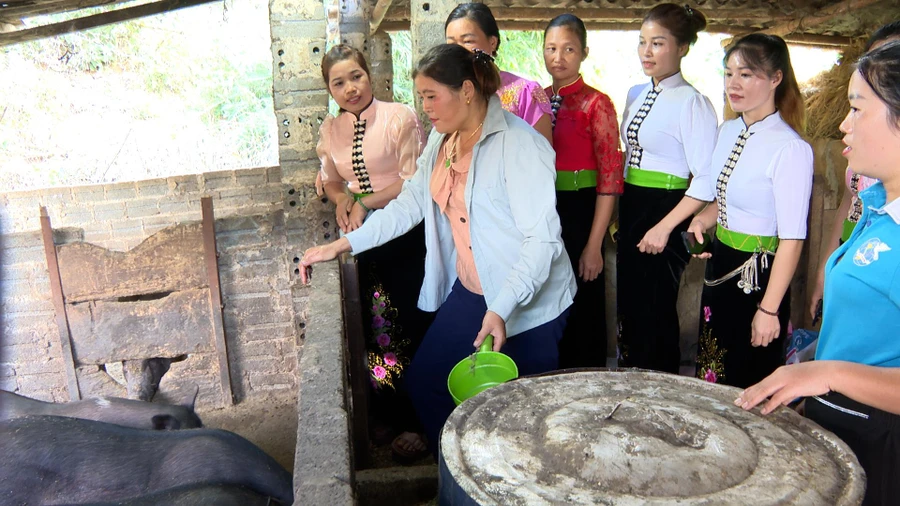 Hội viên Chi hội phụ nữ bản Hỏm Hốc tìm hiểu mô hình kinh tế của gia đình chị Lò Thị Mông.