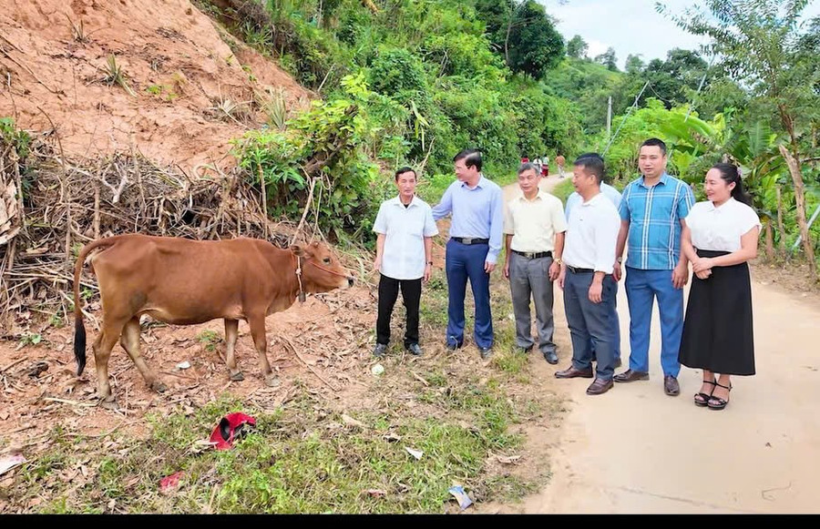 Trao bò giống hỗ trợ cho gia đình có hoàn cảnh khó khăn trên địa bàn xã Mường Tùng.