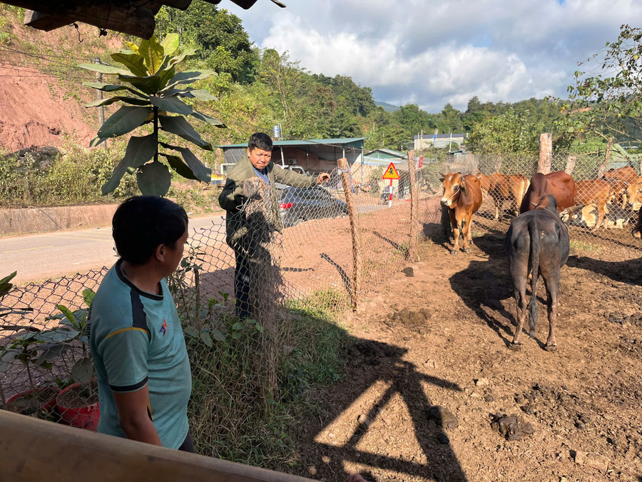 Bài toán phòng ngừa tái nghèo được đặt ra như một yêu cầu song hành với hỗ trợ phát triển sinh kế, trong đó trợ giúp pháp lý giữ vai trò quan trọng.