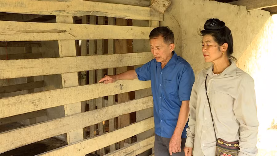 huong dan nuoi huou.jpg