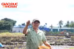 Nông dân Đắk Lắk gieo lúa vụ Hè Thu 2026.