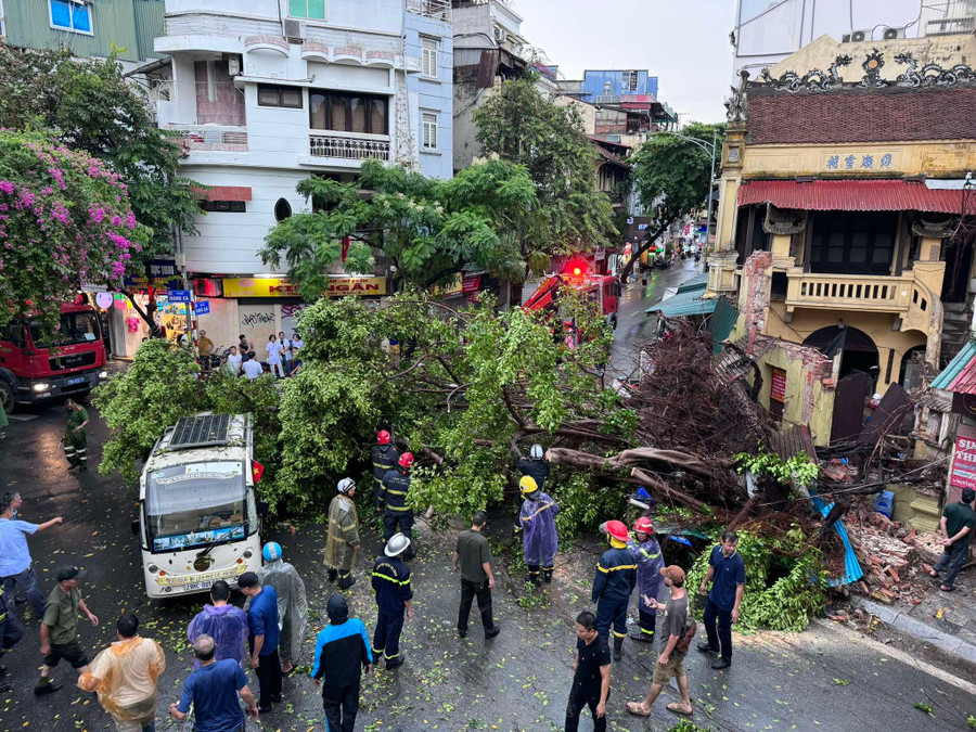 Giông lốc làm bật gốc nhiều cây lớn ở Hà Nội