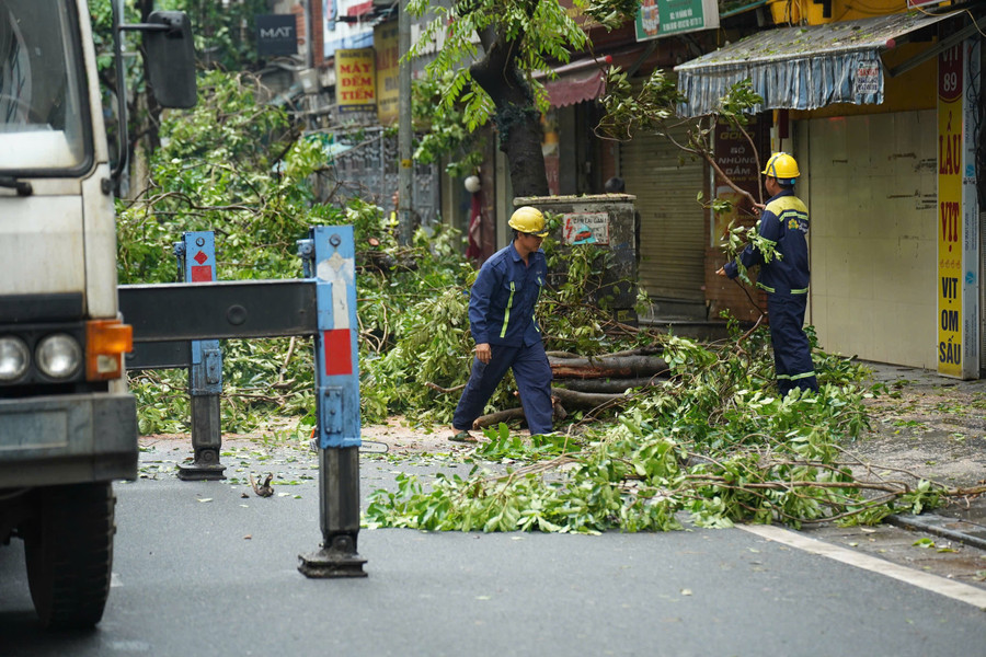 Công nhân cây xanh TP.HCM tới Hà Nội hỗ trợ xử lý cây gãy, đổ sau bão số 3