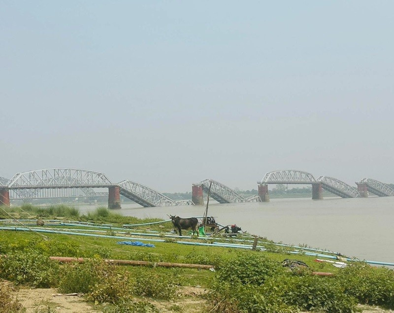 canh-tan-hoang-o-myanmar-va-thai-lan-sau-dong-dat-du-doi-9.jpg