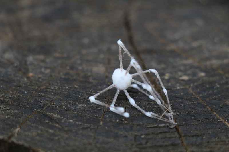 zombie-spiders-5.jpg