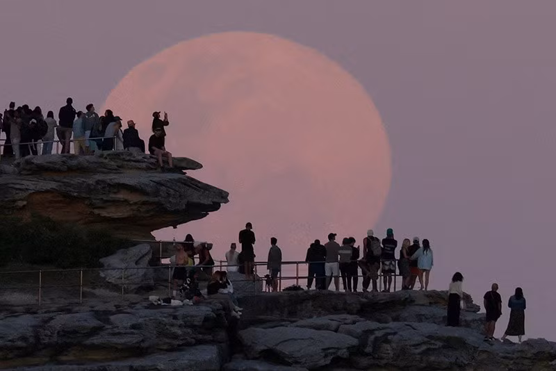 Siêu trăng Beaver Moon mọc phía trên khu vực North Bondi ở Sydney, Úc, ngày 5/11. Ảnh: Reuters. chum-anh-nhung-hinh-anh-khac-thuong-trong-tuan-1105-04.jpg