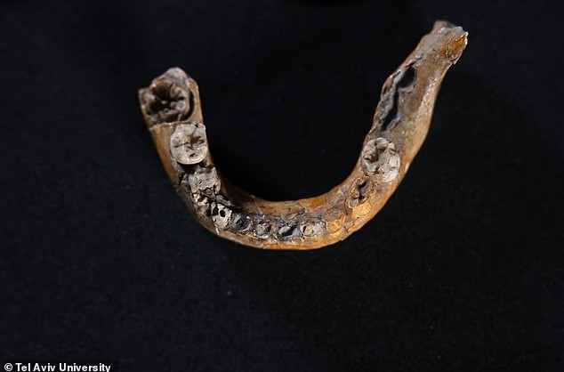 hop-so-be-gai-140000-nam-tuoi-he-lo-su-that-bat-ngo-ve-nguoi-neanderthal-3.jpg
